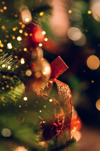 Weihnachtszauber mit Helmut Zierl — Szenenfoto